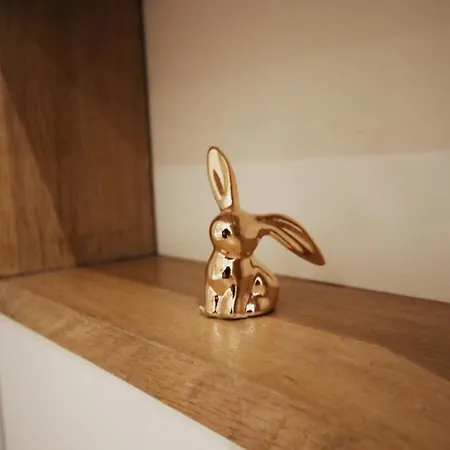 Duplex Climatisé En Hyper Centre De