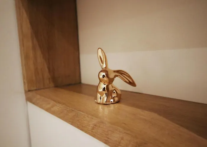 Duplex Climatise En Hyper Centre De